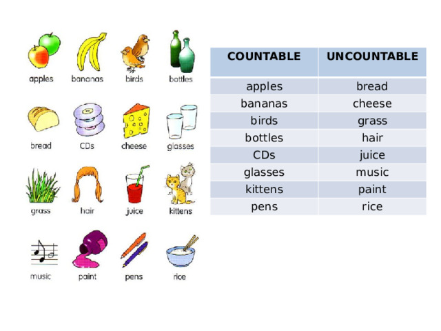 COUNTABLE UNCOUNTABLE apples  bread bananas cheese birds grass bottles CDs hair juice glasses music kittens paint pens rice 
