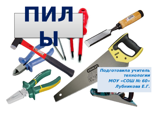 ПИЛЫ Подготовила учитель технологии МОУ «СОШ № 60» Лубникова Е.Г. 