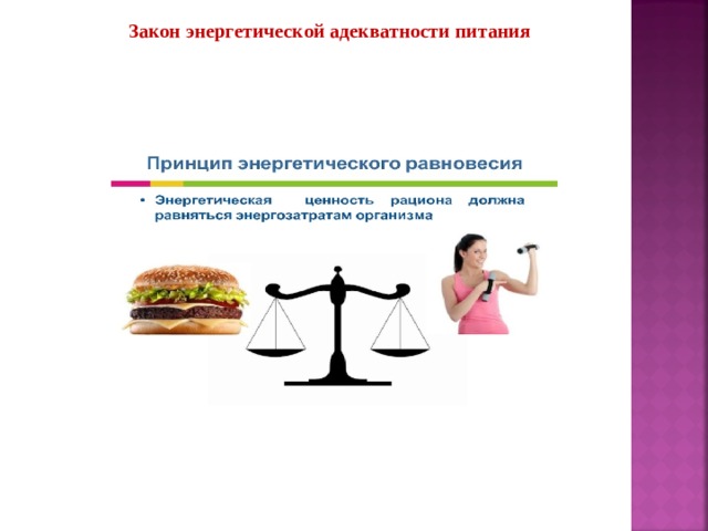 Закон энергетической адекватности питания  