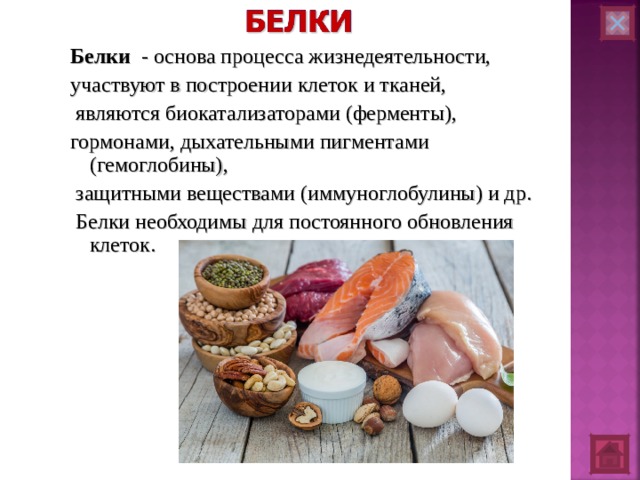 Белки - основа процесса жизнедеятельности, участвуют в построении клеток и тканей,  являются биокатализаторами (ферменты), гормонами, дыхательными пигментами (гемоглобины),  защитными веществами (иммуноглобулины) и др.  Белки необходимы для постоянного обновления клеток. 