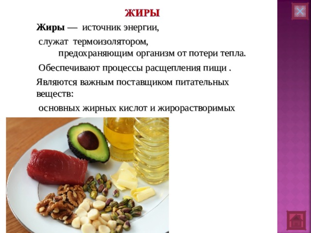 Жиры — источник энергии,  служат термоизолятором, предохраняющим организм от потери тепла.  Обеспечивают процессы расщепления пищи . Являются важным поставщиком питательных веществ:  основных жирных кислот и жирорастворимых витаминов. 