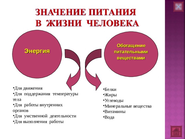 Энергия Обогащение  питательными веществами Для движения Для поддержания температуры тела Для работы внутренних органов Для умственной деятельности Для выполнения работы Белки Жиры Углеводы Минеральные вещества Витамины Вода 
