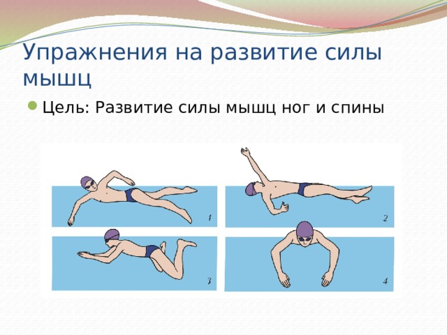 Упражнения на развитие силы мышц Цель: Развитие силы мышц ног и спины 