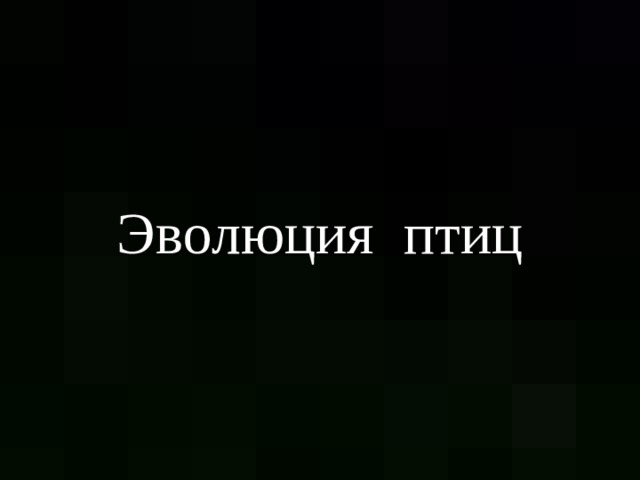 Эволюция птиц 
