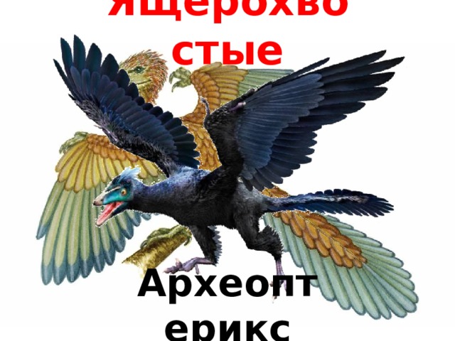 Ящерохвостые Археоптерикс 