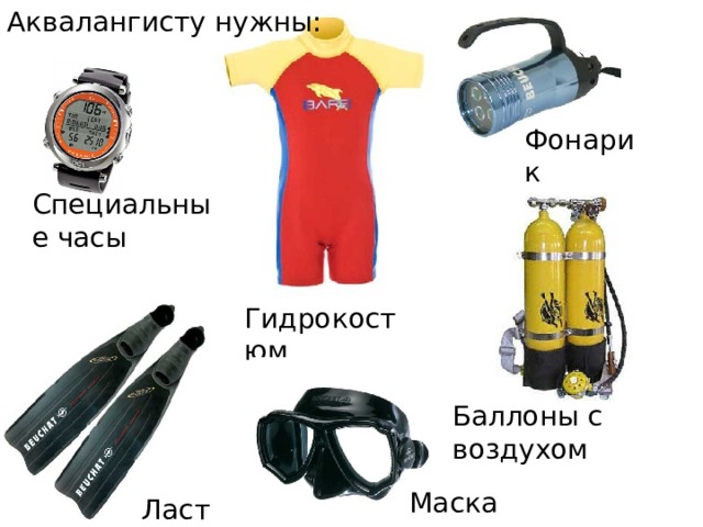 Аквалангисту нужны: Фонарик Специальные часы Гидрокостюм Баллоны с воздухом Маска Ласты 