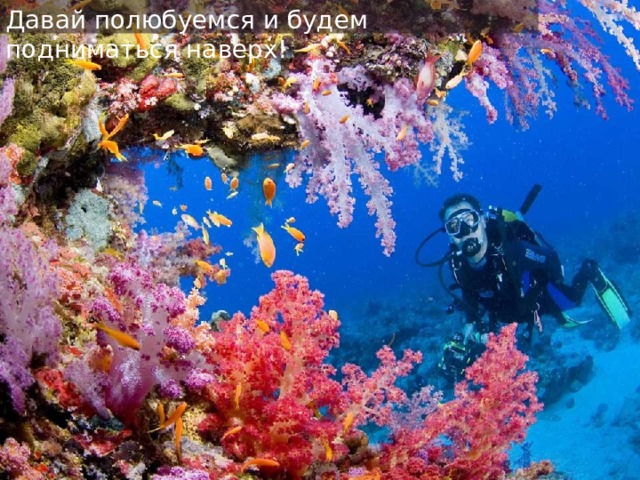Давай полюбуемся и будем подниматься наверх! 