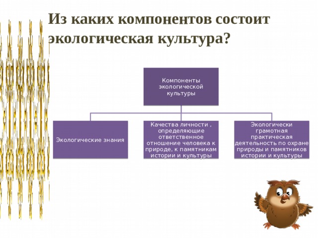 Из каких компонентов состоит экологическая культура? Компоненты экологической культуры Экологические знания Качества личности , определяющие ответственное отношение человека к природе, к памятникам истории и культуры Экологически грамотная практическая деятельность по охране природы и памятников истории и культуры 