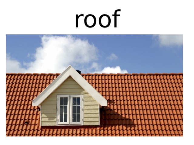 roof 