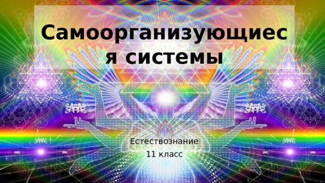 Самоорганизующиеся системы Естествознание 11 класс 