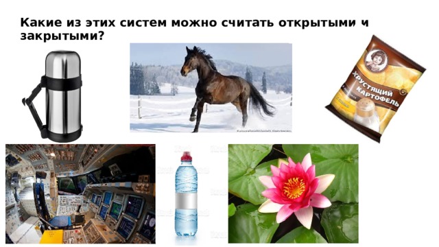 Какие из этих систем можно считать открытыми и закрытыми? 