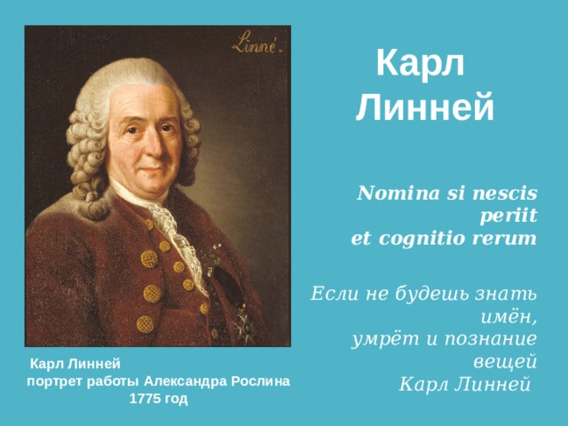 Карл Линней Nomina si nescis periit  et cognitio rerum   Если не будешь знать имён,  умрёт и познание вещей  Карл Линней  Карл Линней портрет работы Александра Рослина 1775 год 