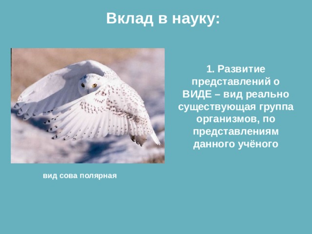 Вклад в науку: 1. Развитие представлений о ВИДЕ – вид реально существующая группа организмов, по представлениям данного учёного вид сова полярная 