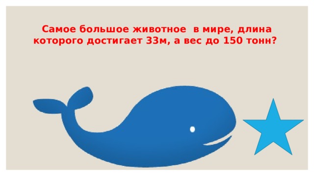 Самое большое животное в мире, длина которого достигает 33м, а вес до 150 тонн? 