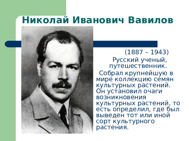 Николай Иванович Вавилов  (1887 – 1943)  Русский ученый, путешественник.  Собрал крупнейшую в мире коллекцию семян культурных растений. Он установил очаги возникновения культурных растений, то есть определил, где был выведен тот или иной сорт культурного растения.   