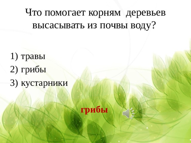 Что помогает корням деревьев высасывать из почвы воду? травы грибы кустарники  грибы