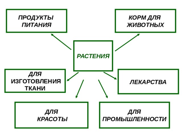 ПРОДУКТЫ  ПИТАНИЯ КОРМ ДЛЯ  ЖИВОТНЫХ РАСТЕНИЯ ЛЕКАРСТВА ДЛЯ  ИЗГОТОВЛЕНИЯ  ТКАНИ ДЛЯ ПРОМЫШЛЕННОСТИ ДЛЯ  КРАСОТЫ 