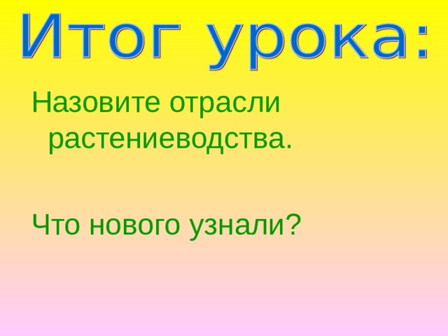 Назовите отрасли растениеводства. Что нового узнали? 