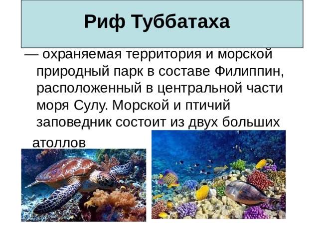 Риф Туббатаха 