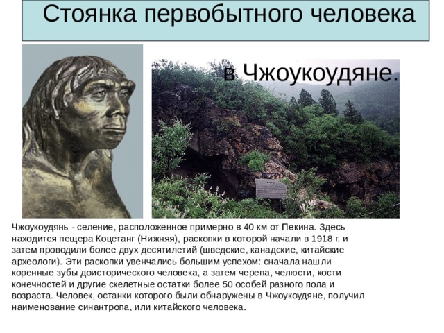   Стоянка первобытного человека  в Чжоукоудяне. Чжоукоудянь - селение, расположенное примерно в 40 км от Пекина. Здесь находится пещера Коцетанг (Нижняя), раскопки в которой начали в 1918 г. и затем проводили более двух десятилетий (шведские, канадские, китайские археологи). Эти раскопки увенчались большим успехом: сначала нашли коренные зубы доисторического человека, а затем черепа, челюсти, кости конечностей и другие скелетные остатки более 50 особей разного пола и возраста. Человек, останки которого были обнаружены в Чжоукоудяне, получил наименование синантропа, или китайского человека. 