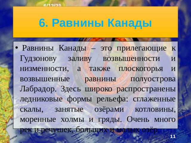 6/13/21 5. Черника  