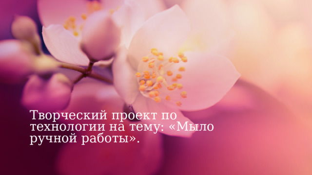 Творческий проект по технологии на тему: «Мыло ручной работы». 