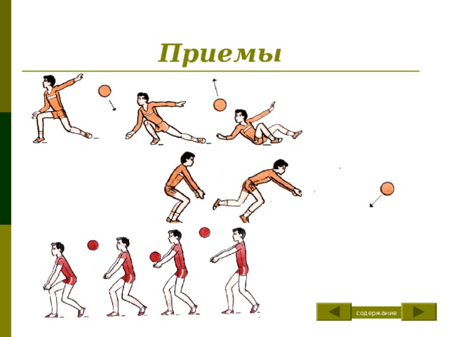 Техника выполнения нижней прямой подачи И.п. – стоя лицом к сетки, ноги согнуты в коленях, левая нога впереди, туловище наклонено вперед. Левая рука, согнутая в локтевом суставе, удерживает мяч на уровне пояса. Правая (бьющая) рука отведена назад в положении замаха. Подбросит мяч на высоту 20-30 см вверх и выполнить удар напряженной кистью по опускающемуся мячу на уровне плеч. Бьющая рука направляет мяч вперед-вверх. содержание 