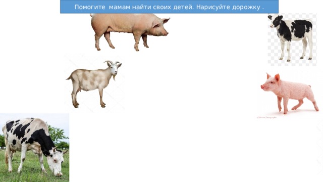 Помогите мамам найти своих детей. Нарисуйте дорожку . 