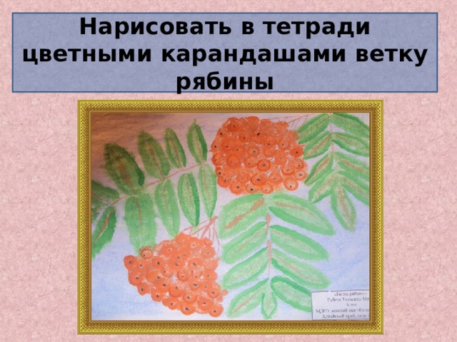 Нарисовать в тетради цветными карандашами ветку рябины 