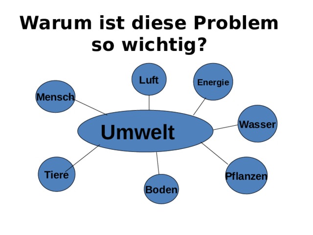 Warum ist diese Problem so wichtig? Luft Energie Mensch Wasser Umwelt Tiere Pflanzen Boden 