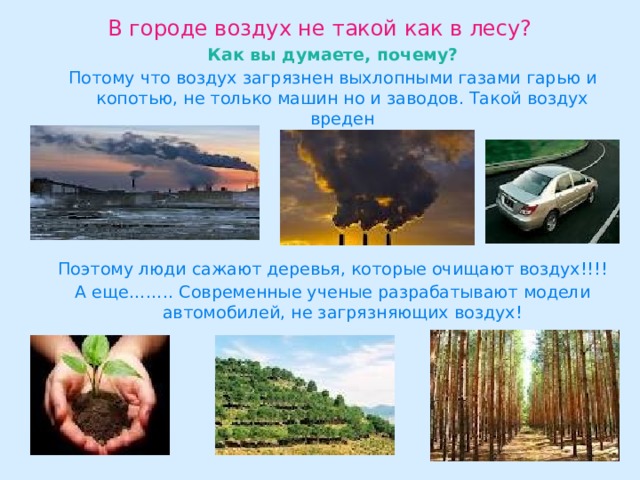 В городе воздух не такой как в лесу? Как вы думаете, почему? Потому что воздух загрязнен выхлопными газами гарью и копотью, не только машин но и заводов. Такой воздух вреден Поэтому люди сажают деревья, которые очищают воздух!!!! А еще…….. Современные ученые разрабатывают модели автомобилей, не загрязняющих воздух! 