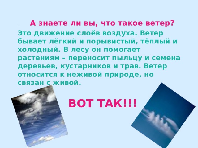 -         А знаете ли вы, что такое ветер?  Это движение слоёв воздуха. Ветер бывает лёгкий и порывистый, тёплый и холодный. В лесу он помогает растениям – переносит пыльцу и семена деревьев, кустарников и трав. Ветер относится к неживой природе, но связан с живой. ВОТ ТАК!!! 