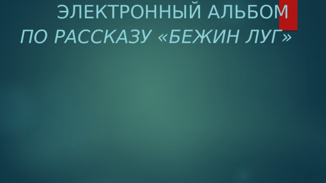  Электронный Альбом  По рассказу «Бежин луг»  