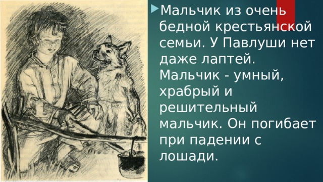 Мальчик из очень бедной крестьянской семьи. У Павлуши нет даже лаптей. Мальчик - умный, храбрый и решительный мальчик. Он погибает при падении с лошади. 