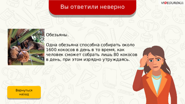 Вы ответили неверно Обезьяны. Одна обезьяна способна собирать около 1600 кокосов в день в то время, как человек сможет собрать лишь 80 кокосов в день, при этом изрядно утруждаясь. Вернуться назад 