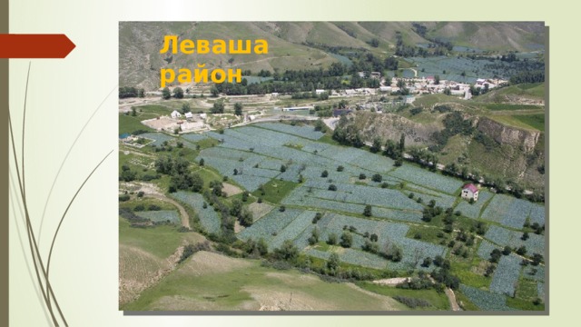 Леваша район 