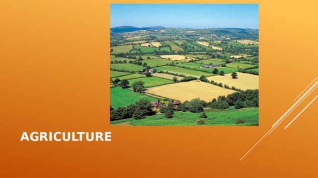 Agriculture  