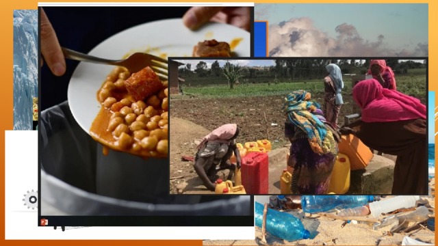 What are the global ecological problems? 