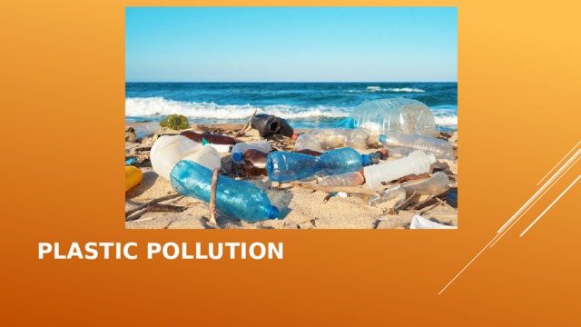 Plastic Pollution 