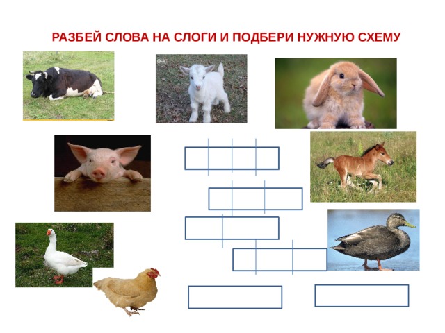 РАЗБЕЙ СЛОВА НА СЛОГИ И ПОДБЕРИ НУЖНУЮ СХЕМУ 