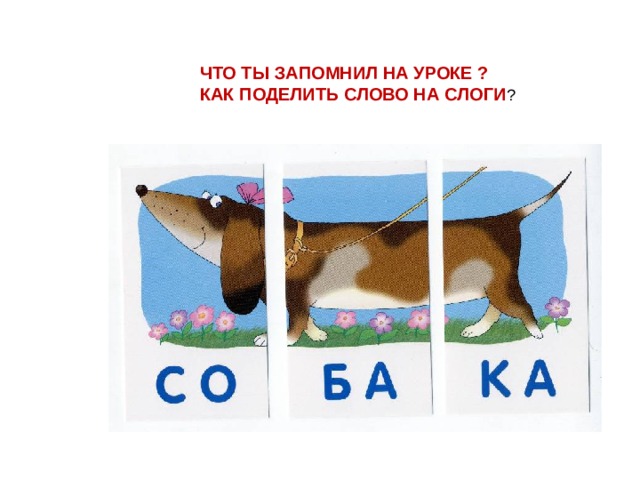 ЧТО ТЫ ЗАПОМНИЛ НА УРОКЕ ? КАК ПОДЕЛИТЬ СЛОВО НА СЛОГИ ? 