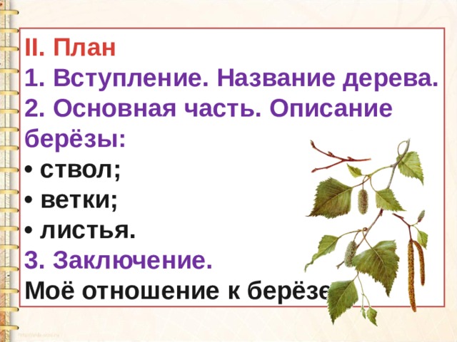 II. План 1. Вступление. Название дерева. 2. Основная часть. Описание берёзы: • ствол; • ветки; • листья. 3. Заключение. Моё отношение к берёзе. 