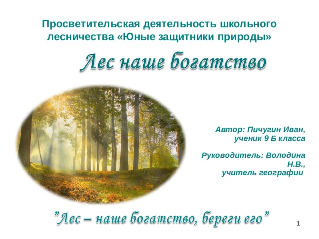 Просветительская деятельность школьного лесничества «Юные защитники природы» Автор: Пичугин Иван, ученик 9 Б класса  Руководитель: Володина Н.В.,  учитель географии    