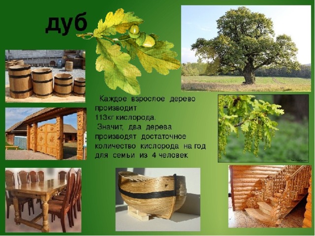 18.06.21  