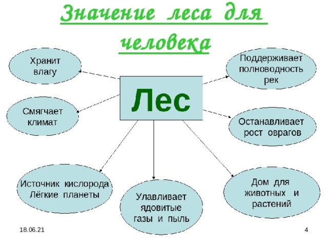 18.06.21  