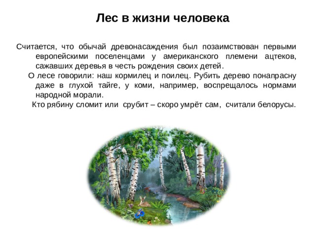 Лес в жизни человека Считается, что обычай древонасаждения был позаимствован первыми европейскими поселенцами у американского племени ацтеков, сажавших деревья в честь рождения своих детей.  О лесе говорили: наш кормилец и поилец. Рубить дерево понапрасну даже в глухой тайге, у коми, например, воспрещалось нормами народной морали.  Кто рябину сломит или срубит – скоро умрёт сам, считали белорусы. 