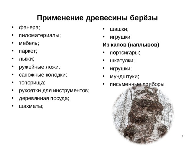 Применение древесины берёзы фанера; пиломатериалы; мебель; паркет; лыжи; ружейные ложи; сапожные колодки; топорища; рукоятки для инструментов; деревянная посуда; шахматы; шашки; игрушки Из капов (наплывов) портсигары; шкатулки; игрушки; мундштуки; письменные приборы   
