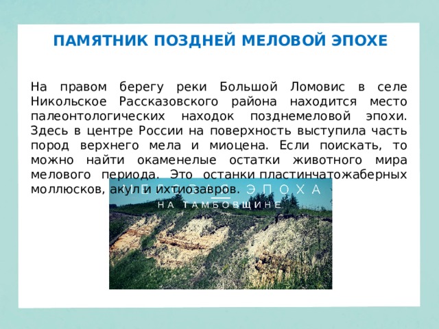 ПАМЯТНИК ПОЗДНЕЙ МЕЛОВОЙ ЭПОХЕ   На правом берегу реки Большой Ломовис в селе Никольское Рассказовского района находится место палеонтологических находок позднемеловой эпохи. Здесь в центре России на поверхность выступила часть пород верхнего мела и миоцена. Если поискать, то можно найти окаменелые остатки животного мира мелового периода. Это останки пластинчатожаберных моллюсков, акул и ихтиозавров. 