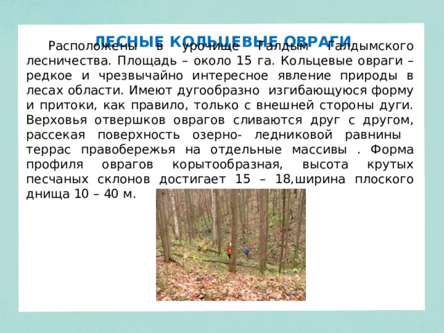 ЛЕСНЫЕ КОЛЬЦЕВЫЕ ОВРАГИ Расположены в урочище Галдым Галдымского лесничества. Площадь – около 15 га. Кольцевые овраги – редкое и чрезвычайно интересное явление природы в лесах области. Имеют дугообразно изгибающуюся форму и притоки, как правило, только с внешней стороны дуги. Верховья отвершков оврагов сливаются друг с другом, рассекая поверхность озерно- ледниковой равнины террас правобережья на отдельные массивы . Форма профиля оврагов корытообразная, высота крутых песчаных склонов достигает 15 – 18,ширина плоского днища 10 – 40 м. 