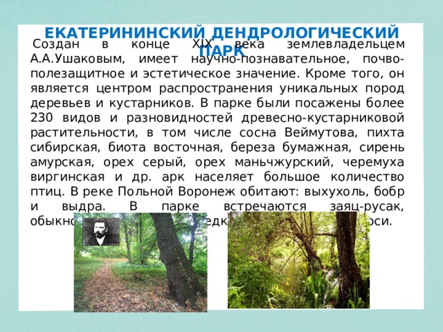 ЕКАТЕРИНИНСКИЙ ДЕНДРОЛОГИЧЕСКИЙ ПАРК   Создан в конце XIX века землевладельцем А.А.Ушаковым, имеет научно-познавательное, почво-полезащитное и эстетическое значение. Кроме того, он является центром распространения уникальных пород деревьев и кустарников. В парке были посажены более 230 видов и разновидностей древесно-кустарниковой растительности, в том числе сосна Веймутова, пихта сибирская, биота восточная, береза бумажная, сирень амурская, орех серый, орех маньчжурский, черемуха виргинская и др. арк населяет большое количество птиц. В реке Польной Воронеж обитают: выхухоль, бобр и выдра. В парке встречаются заяц-русак, обыкновенная лисица, изредка заходят кабаны и лоси. 